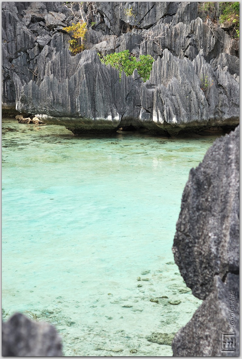 DSC_1305.jpg