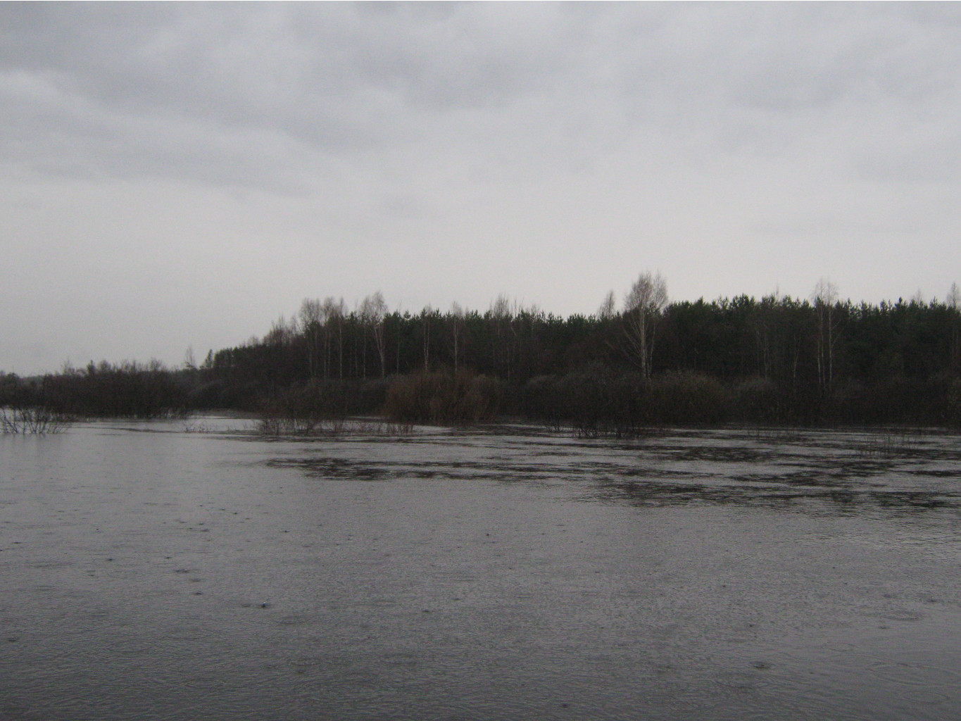 IMG_5514.JPG