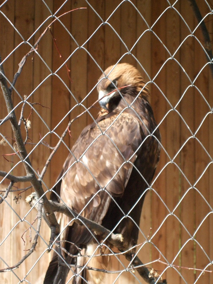DSCF0277.jpg