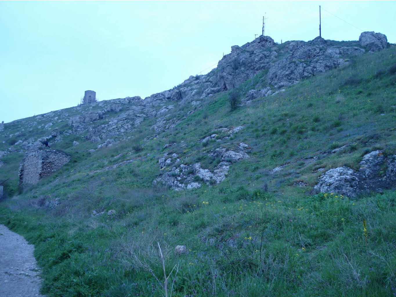 DSC00719_mini.jpg