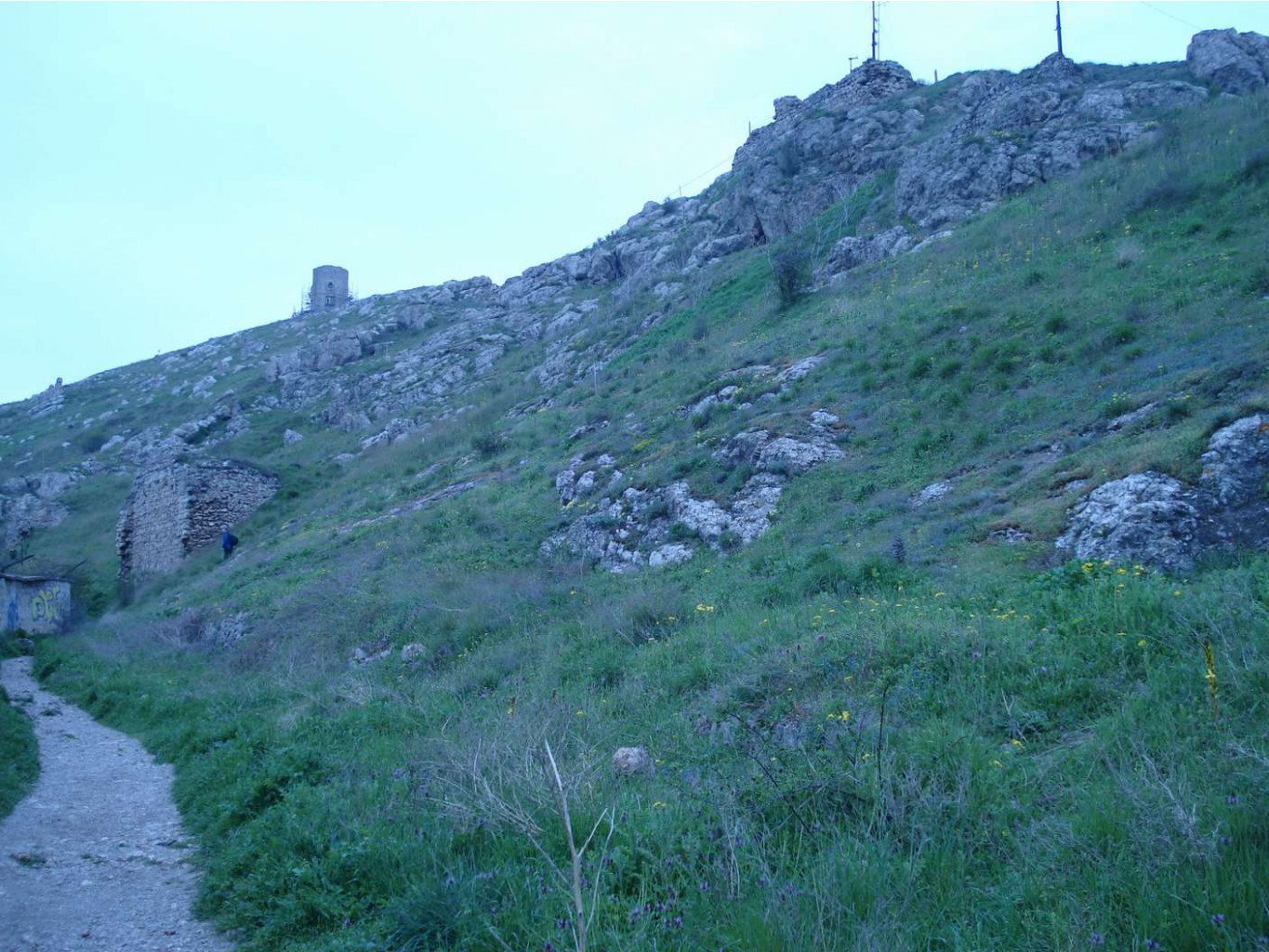 DSC00718_mini.jpg