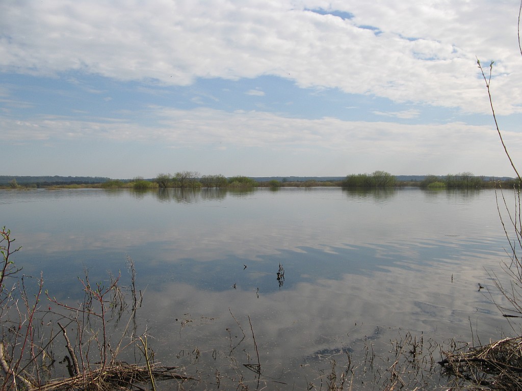 Resize of IMG_8302.JPG