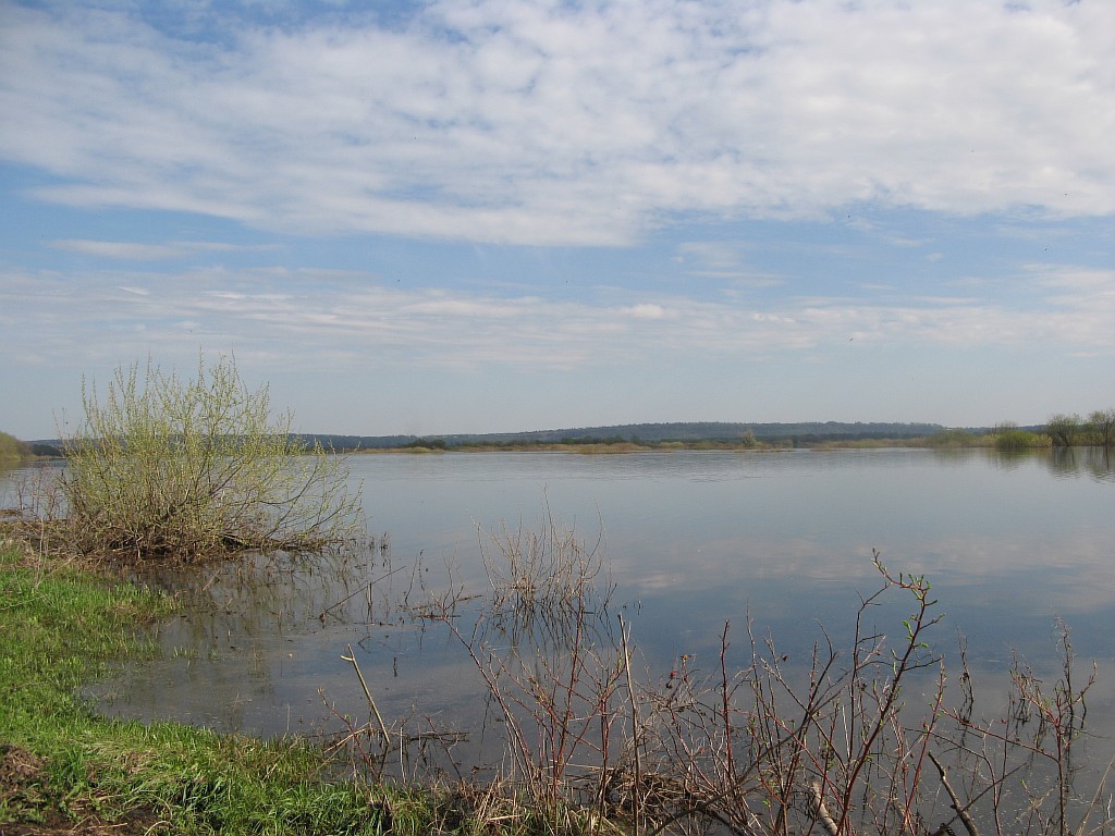 Resize of IMG_8303.JPG