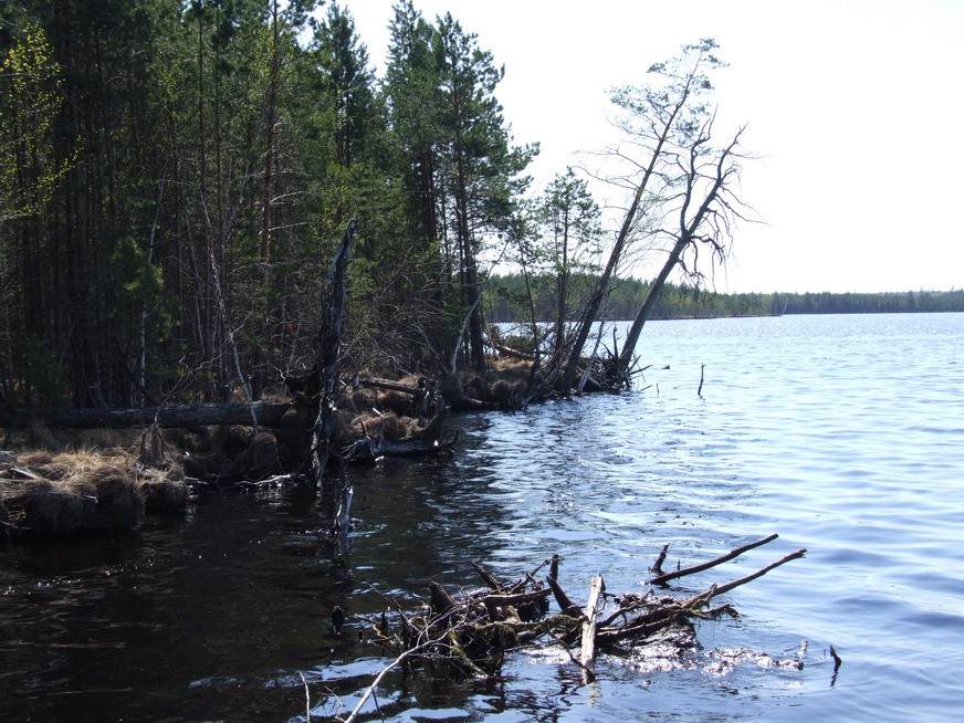 DSCF7447.JPG