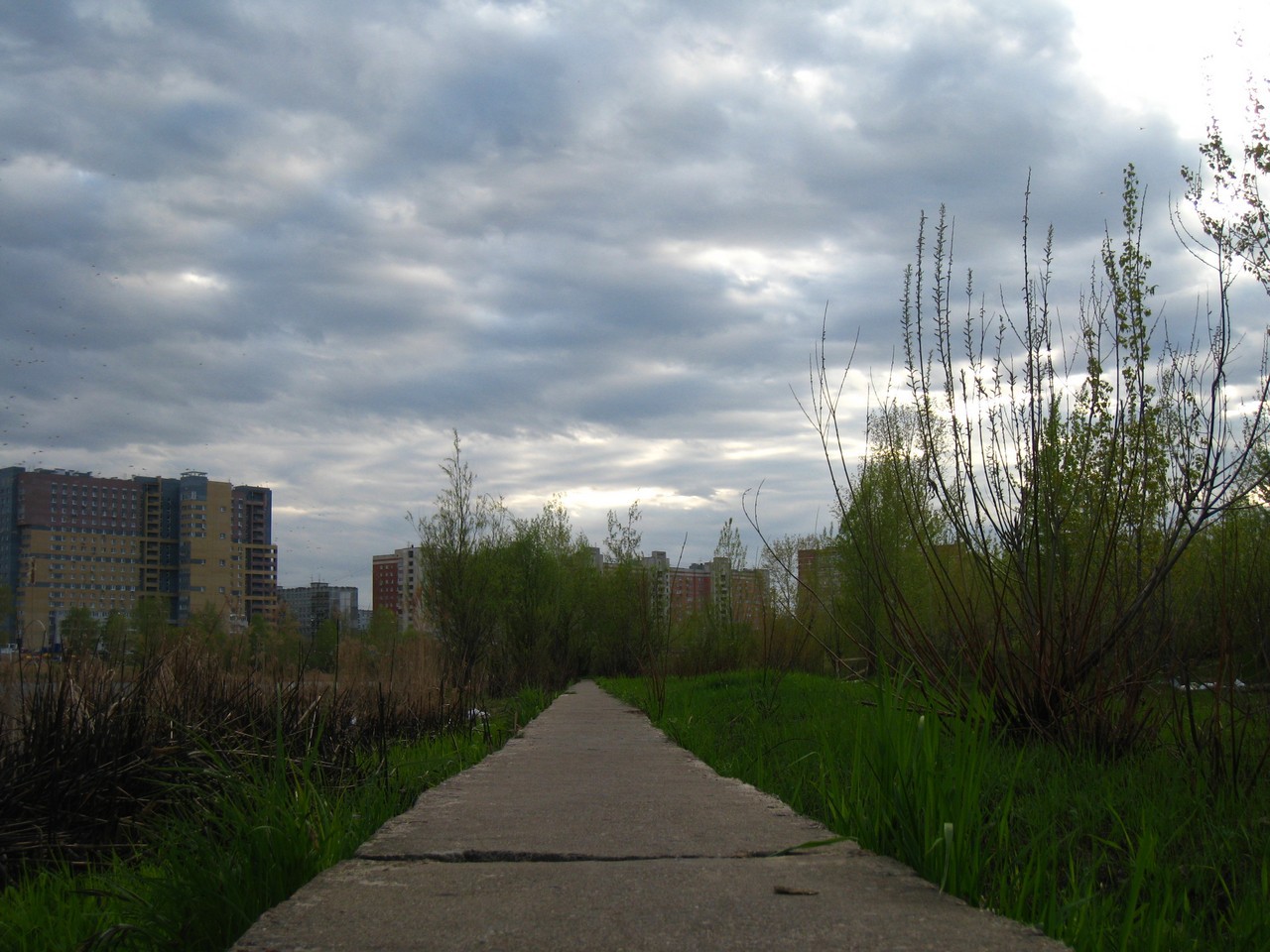 IMG_9961.jpg