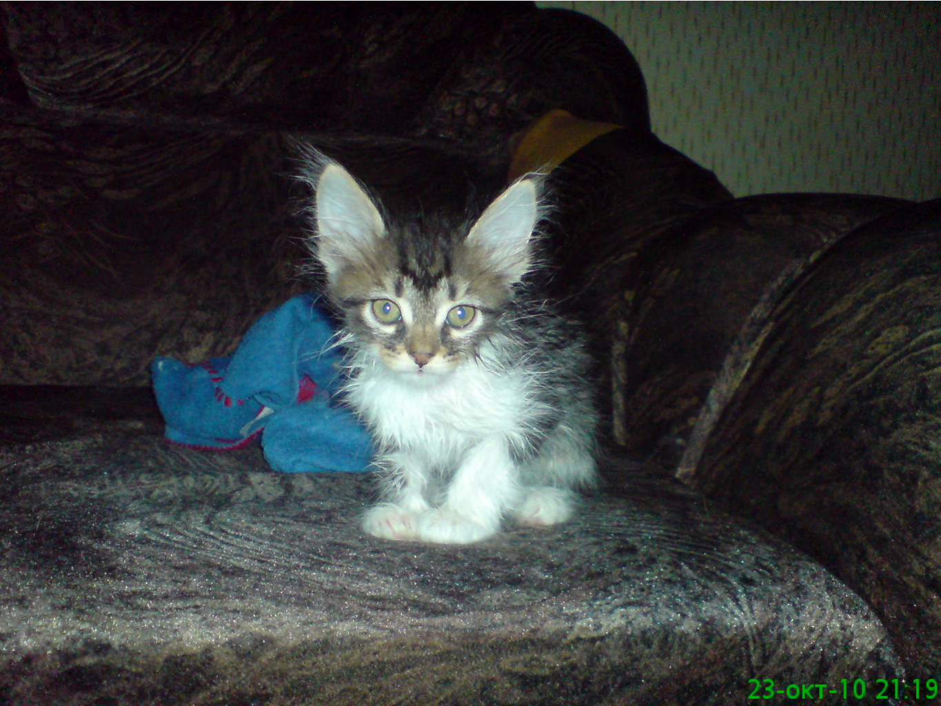 DSC00059.JPG