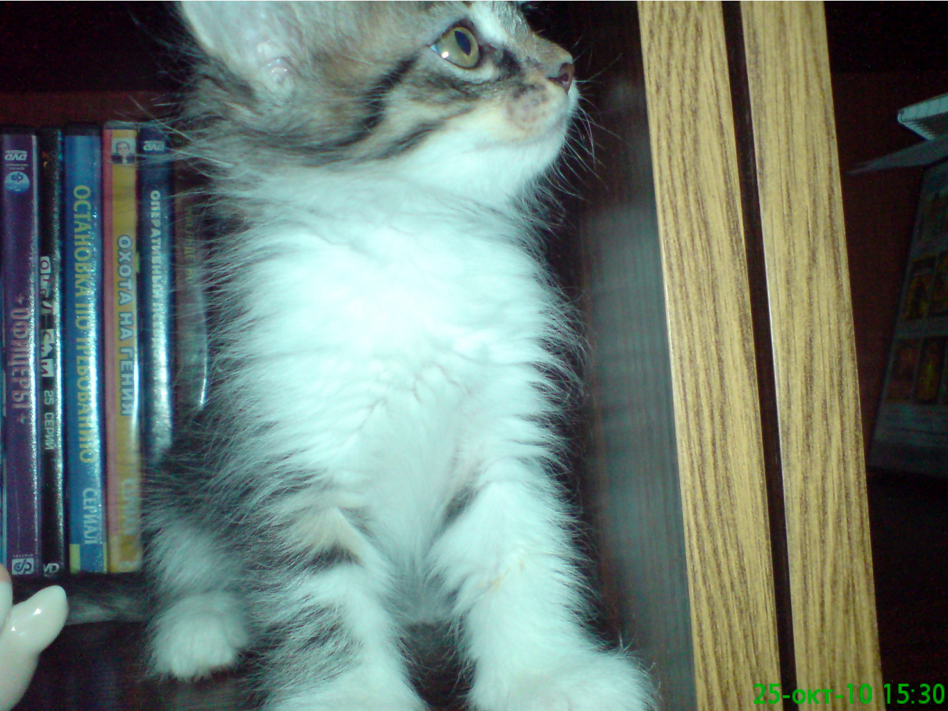 DSC00086.JPG
