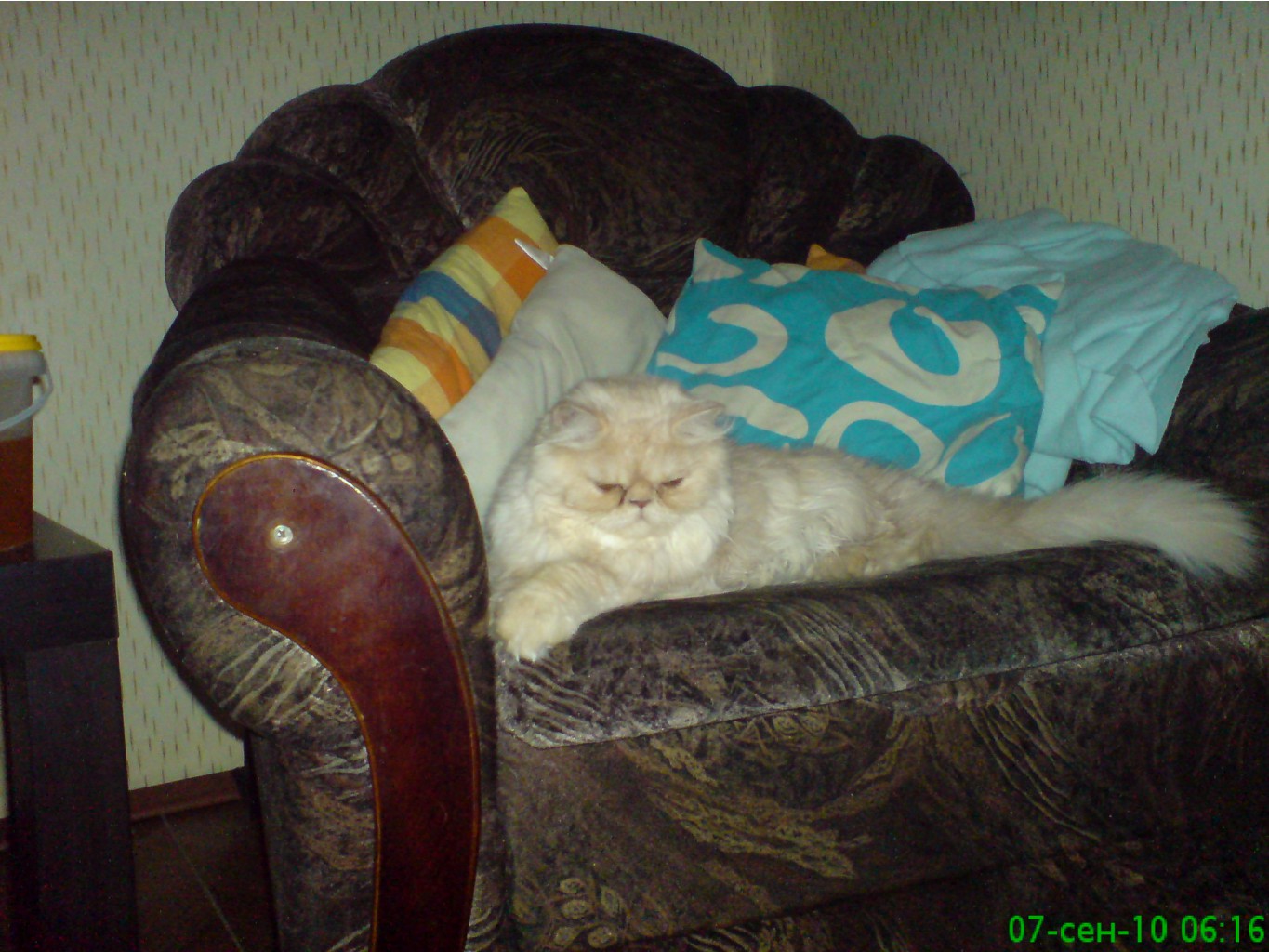 DSC00611.JPG