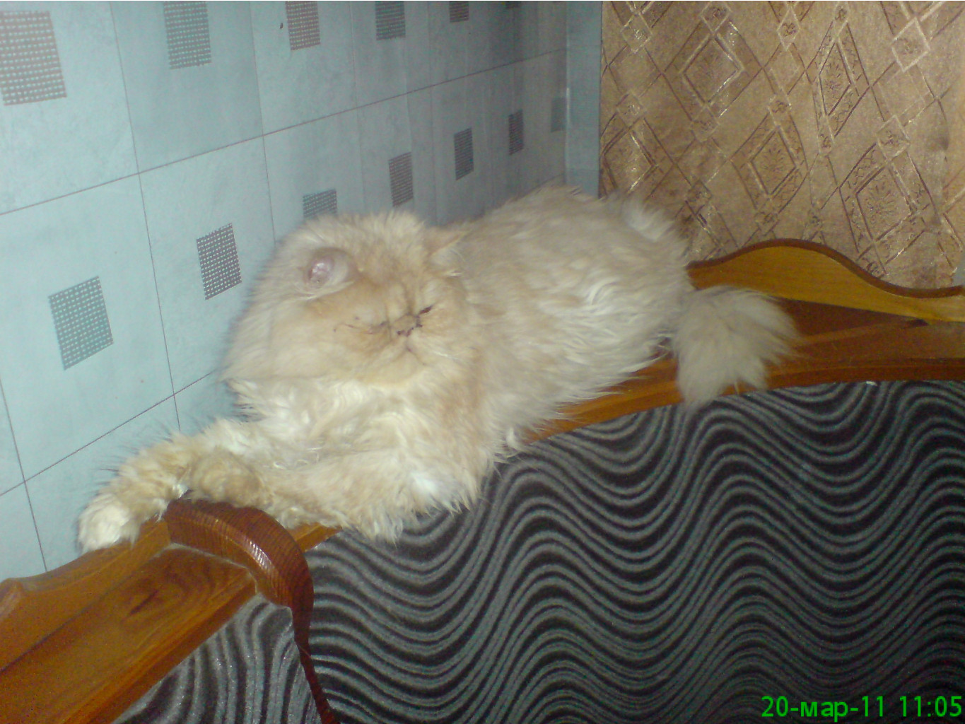 DSC00814.JPG