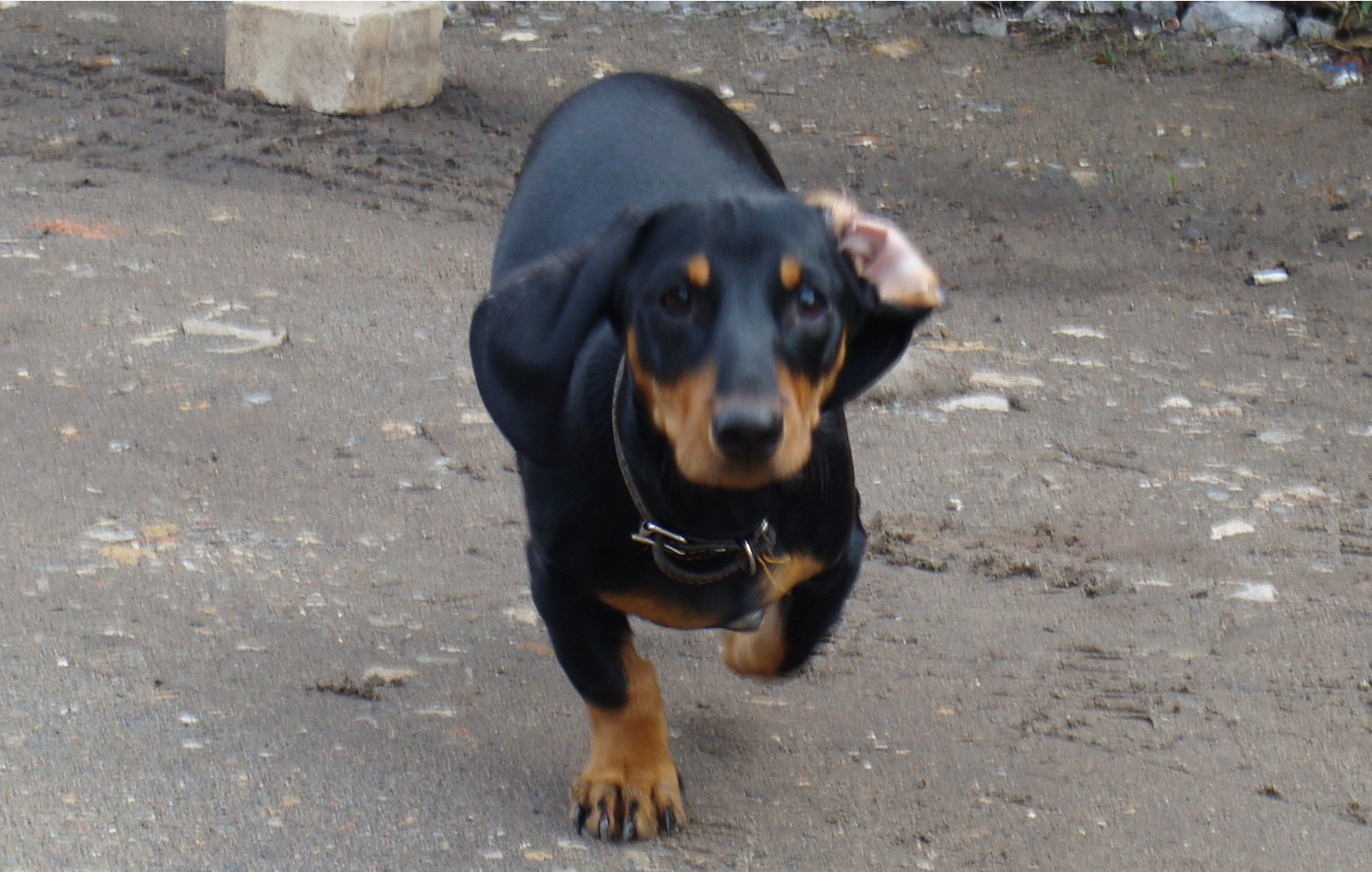 DSC02345.jpg
