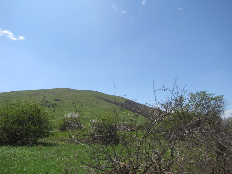 IMG_5035.jpg