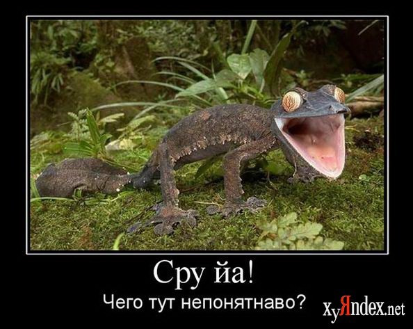 1273666221_03.jpg