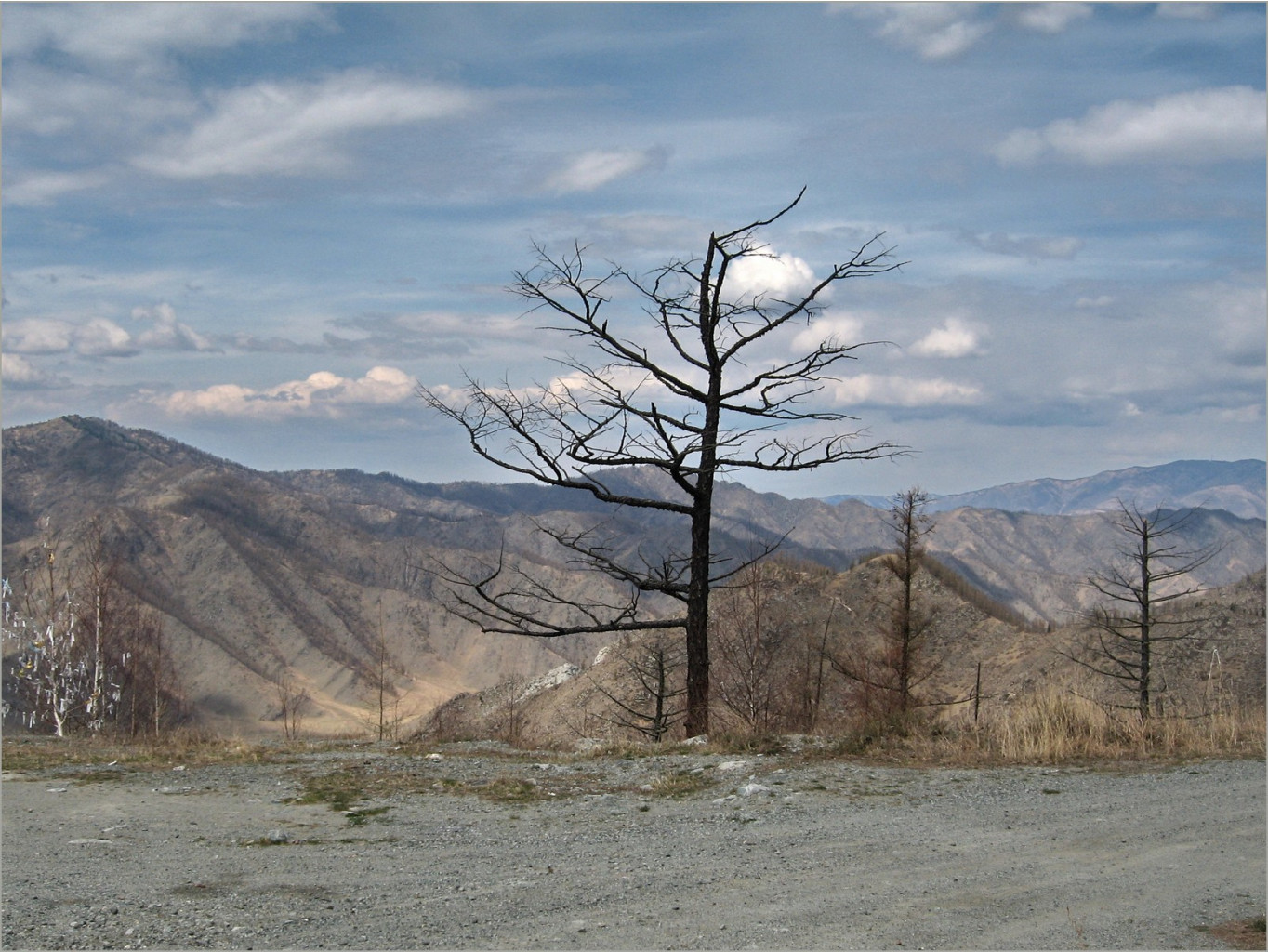 altay-2011-05-01_10.17.34.jpg