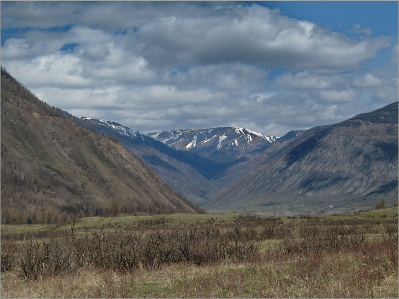 altay-2011-05-08_08.08.30.jpg