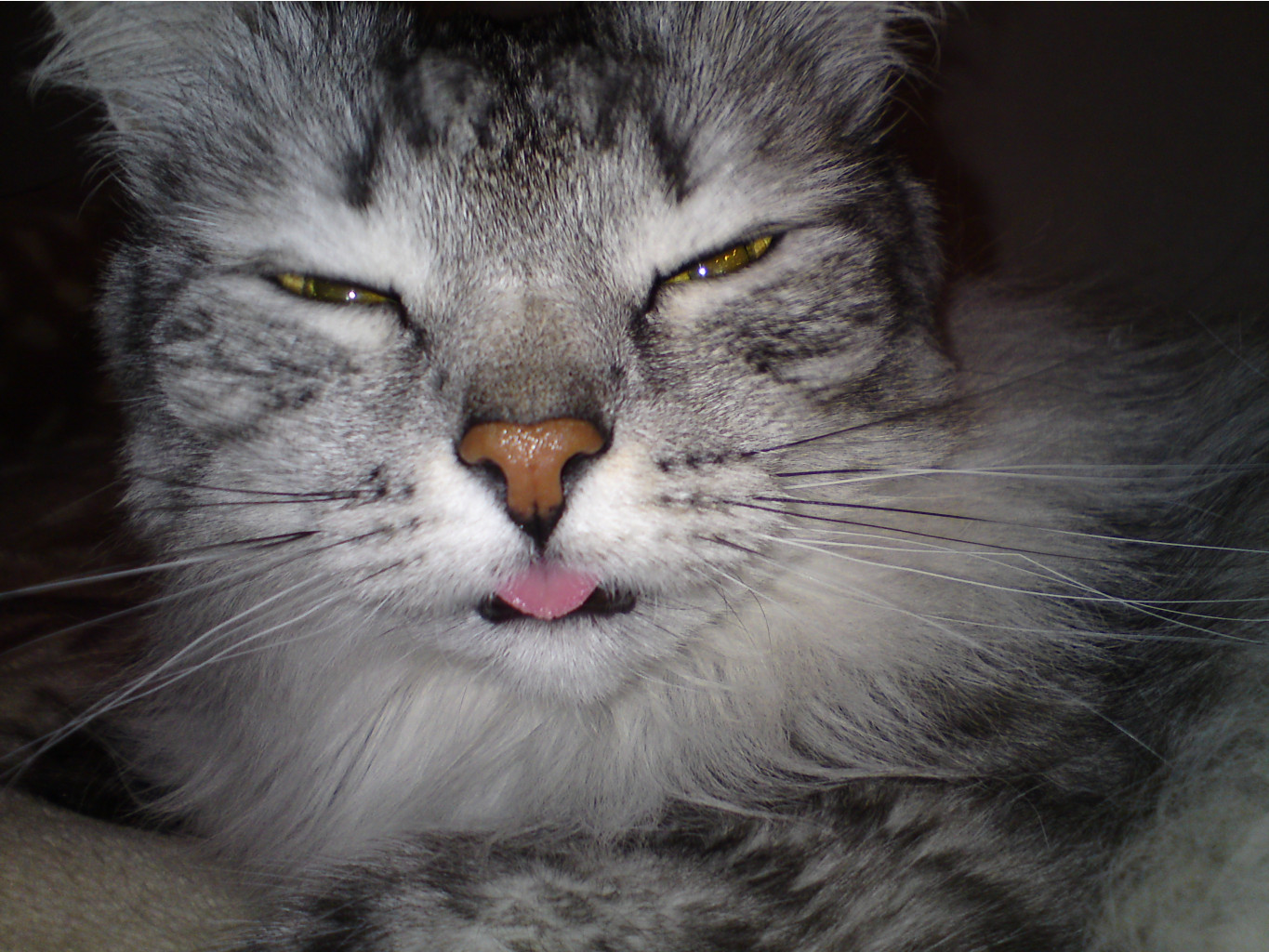 DSC00015.JPG