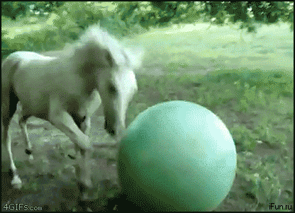 лошадка.gif