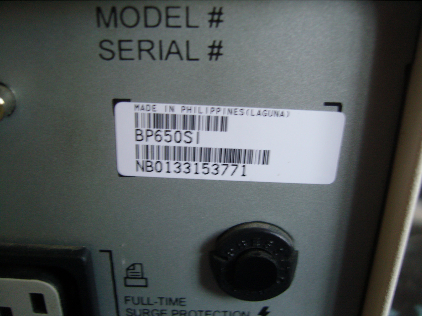 SNC17216.JPG