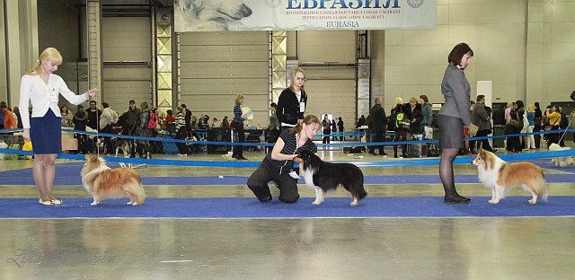  2011