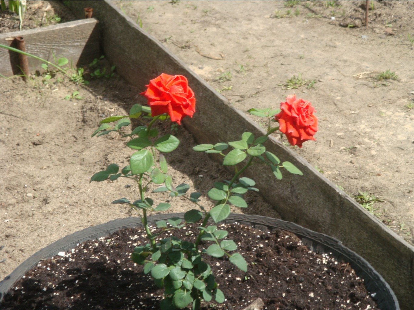 DSC01945.JPG