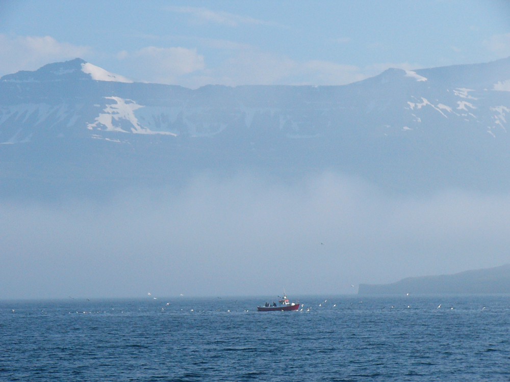 p1010635.jpg