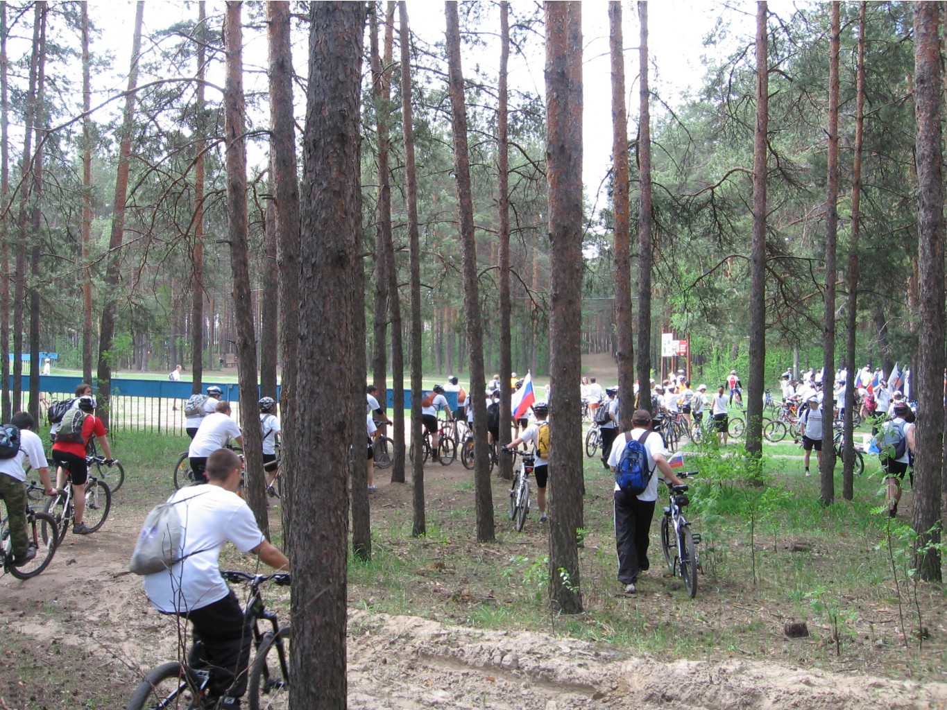 z 031.jpg