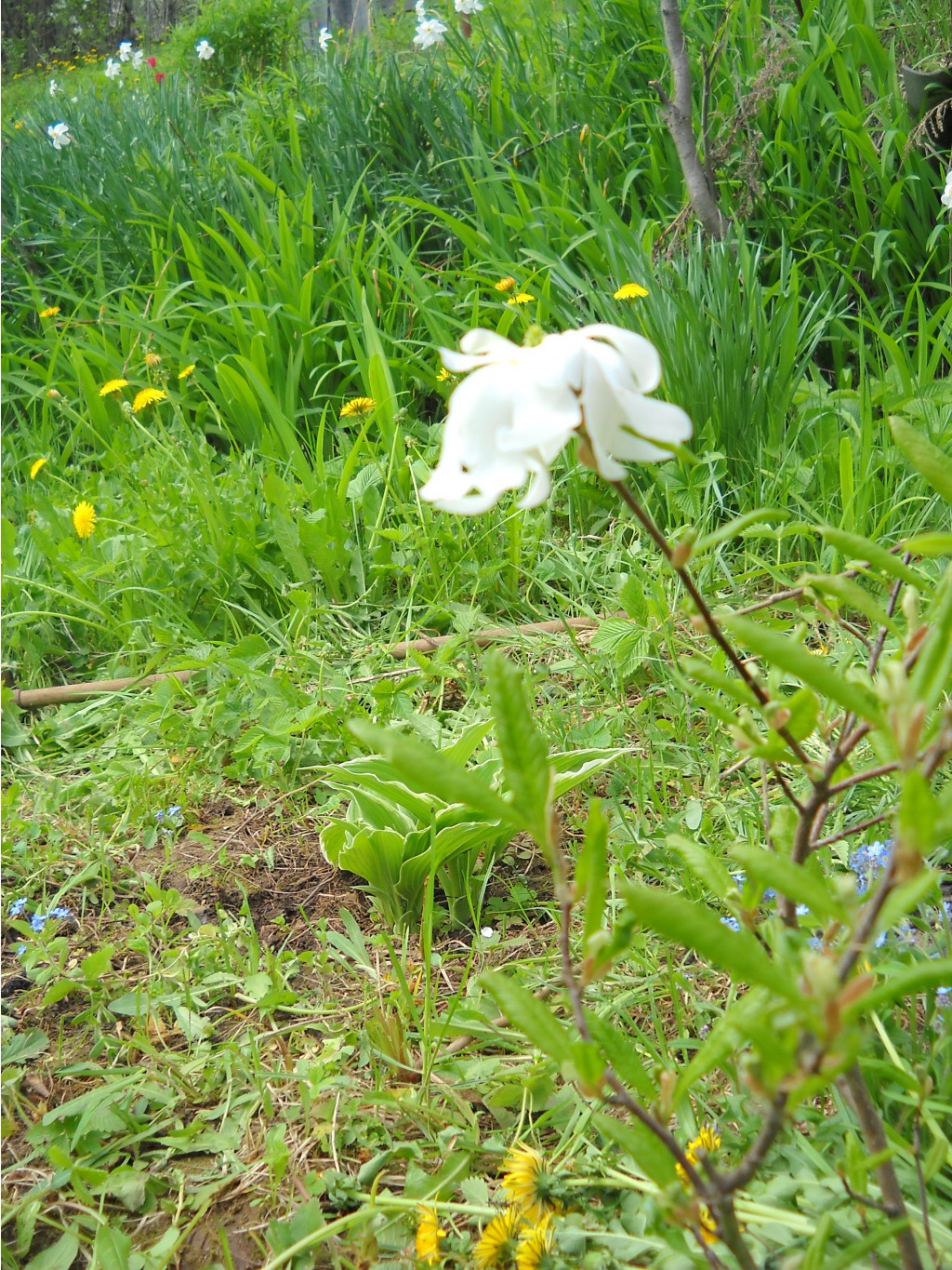 DSCN0113.JPG