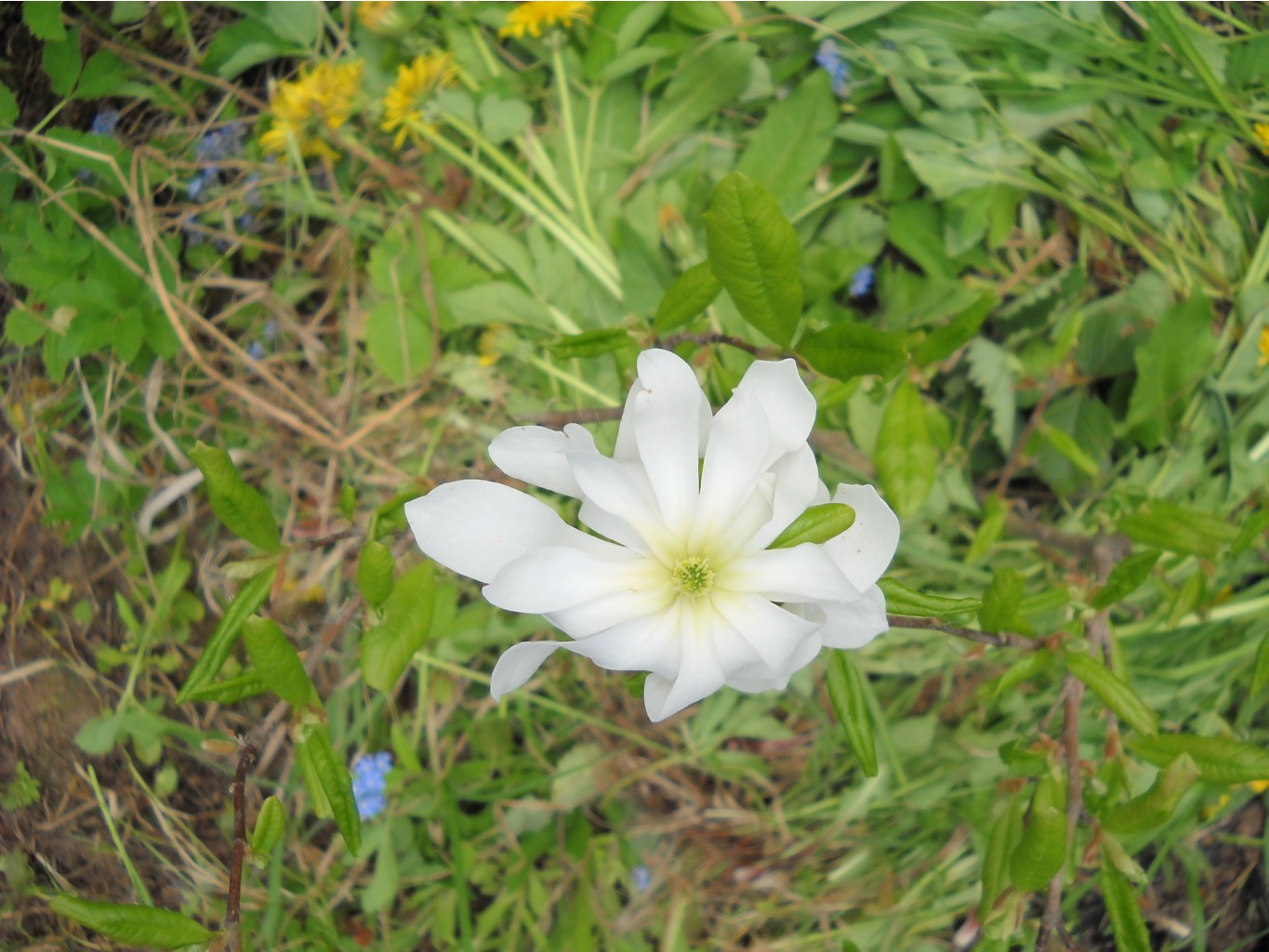 DSCN0111.JPG