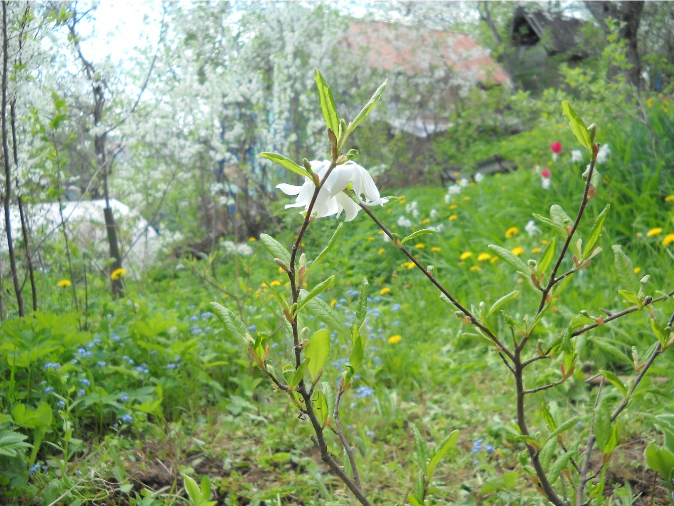 DSCN0112.JPG