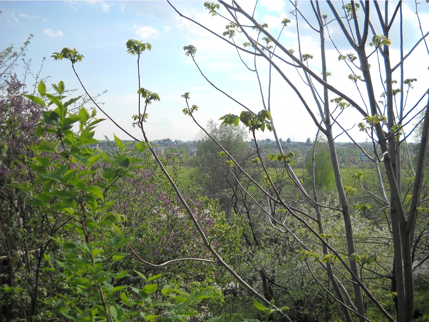 DSCN0175.JPG