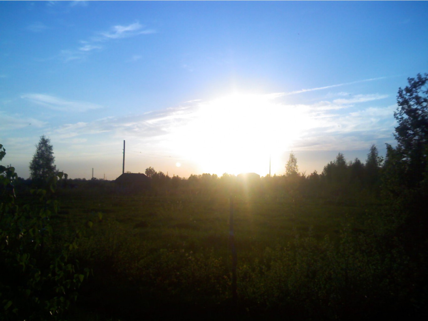IMG386.jpg