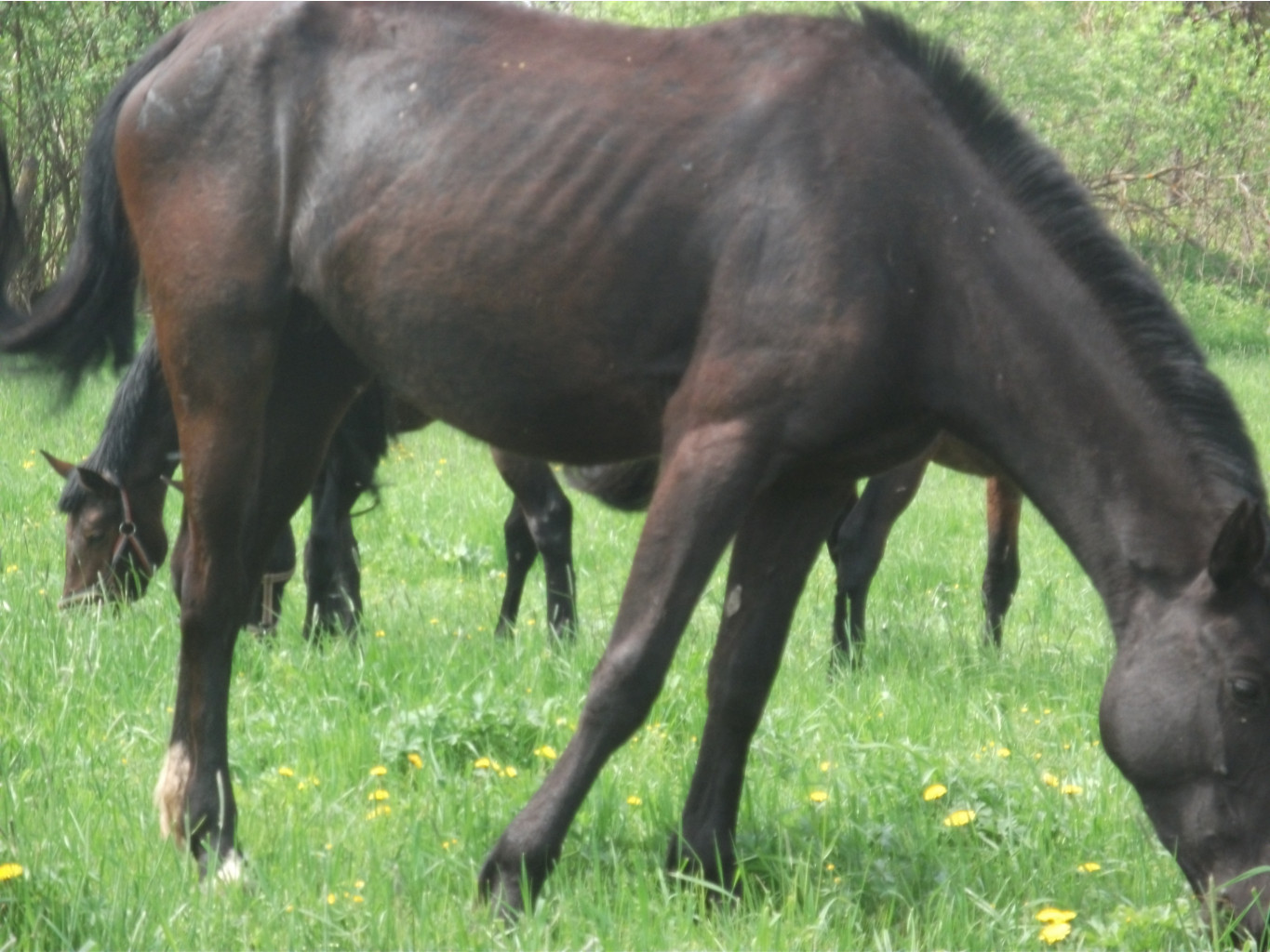 DSCF0326.JPG