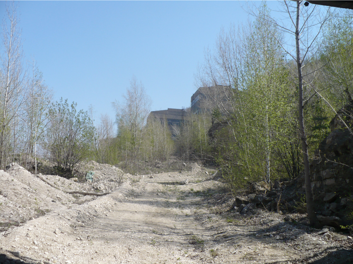 P1060322.JPG