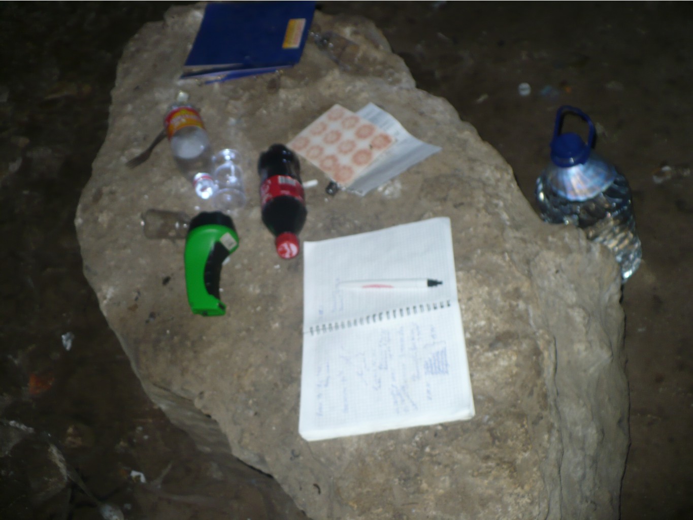 P1060341.JPG