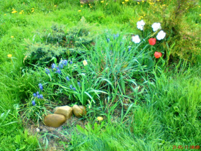 DSC00068.JPG