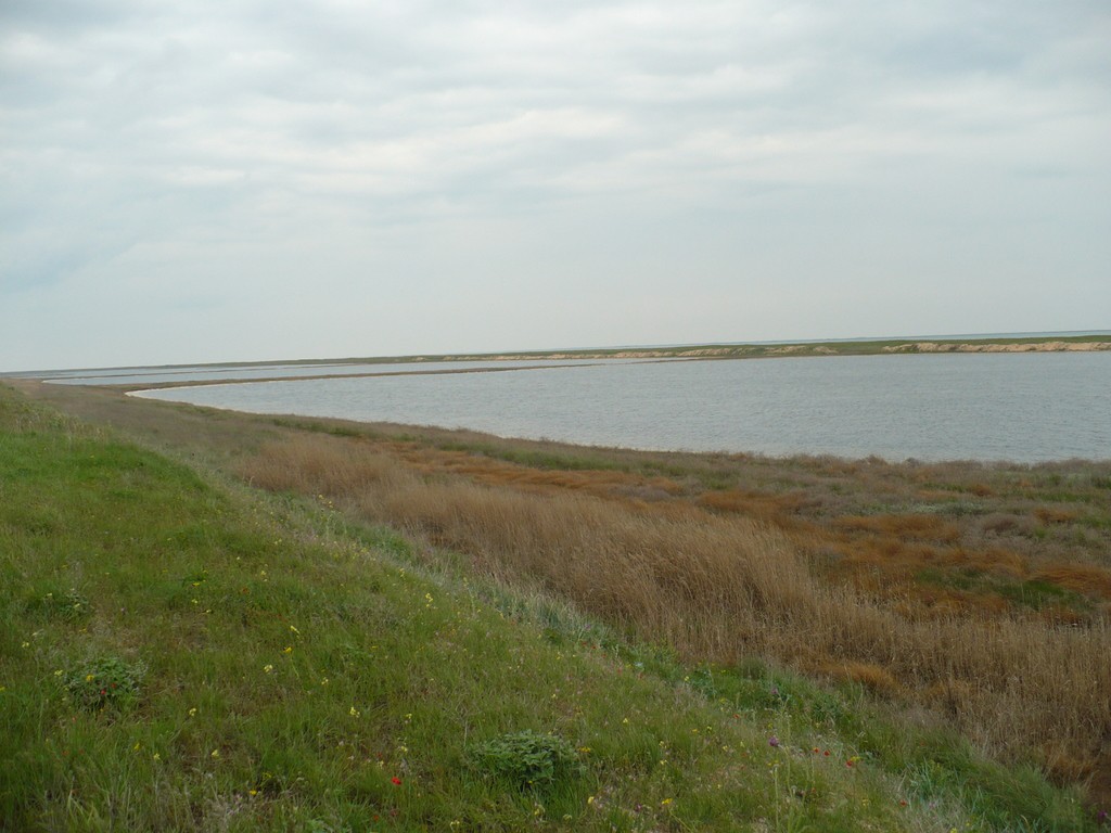 P1040433.jpg