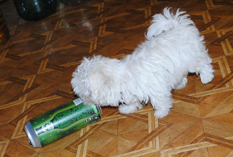 DSC_3374.JPG