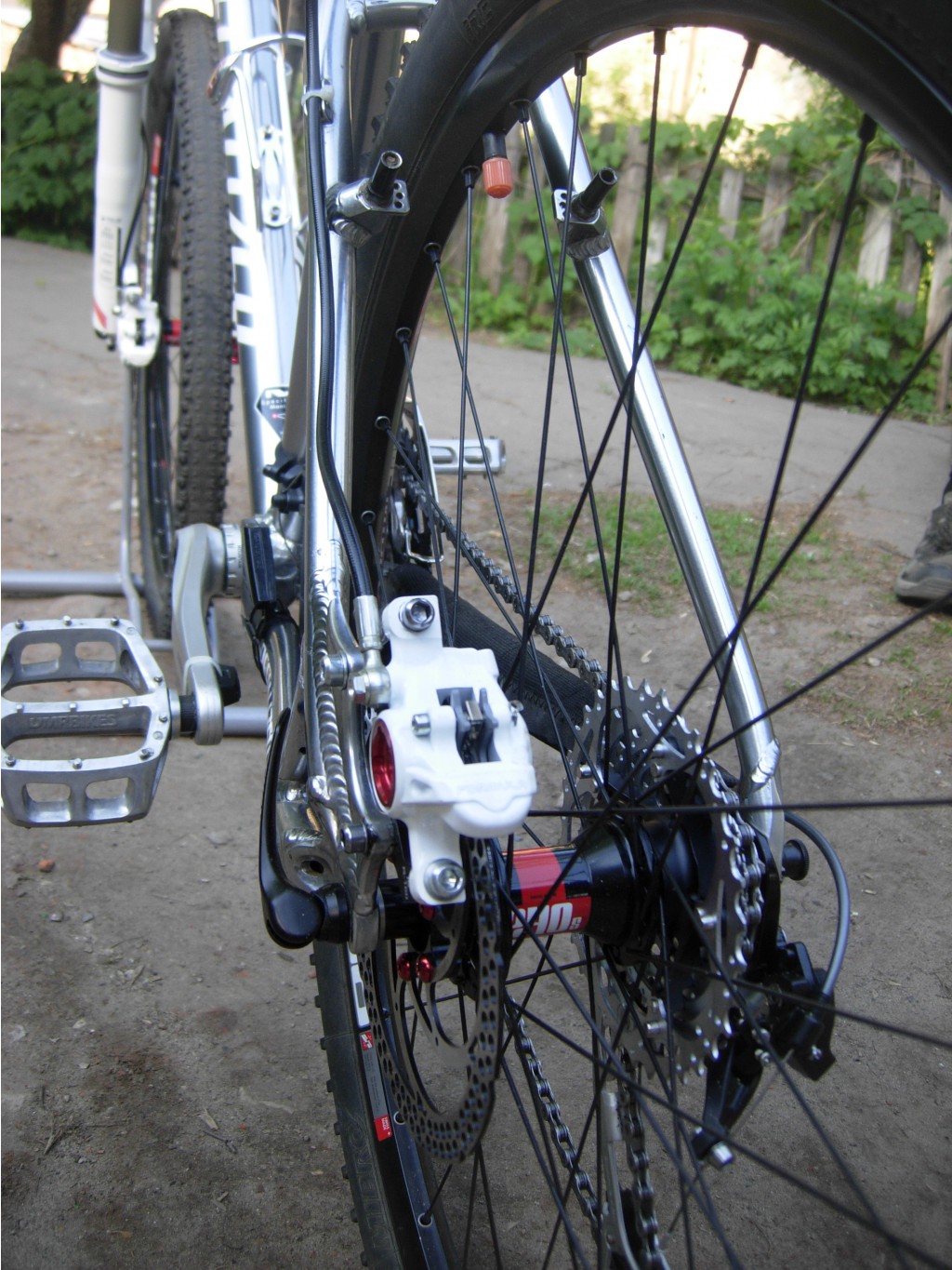 DSCN3558.JPG