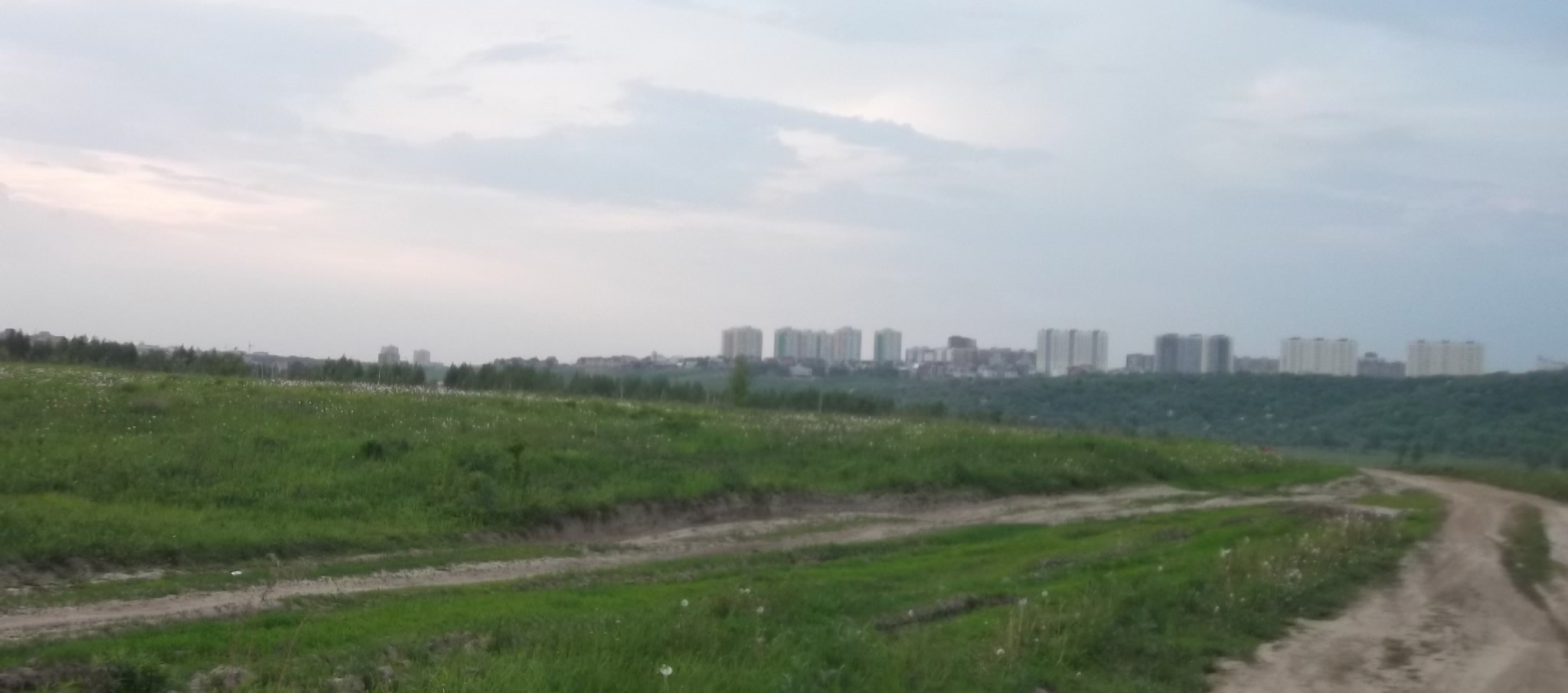 DSCF1254.JPG