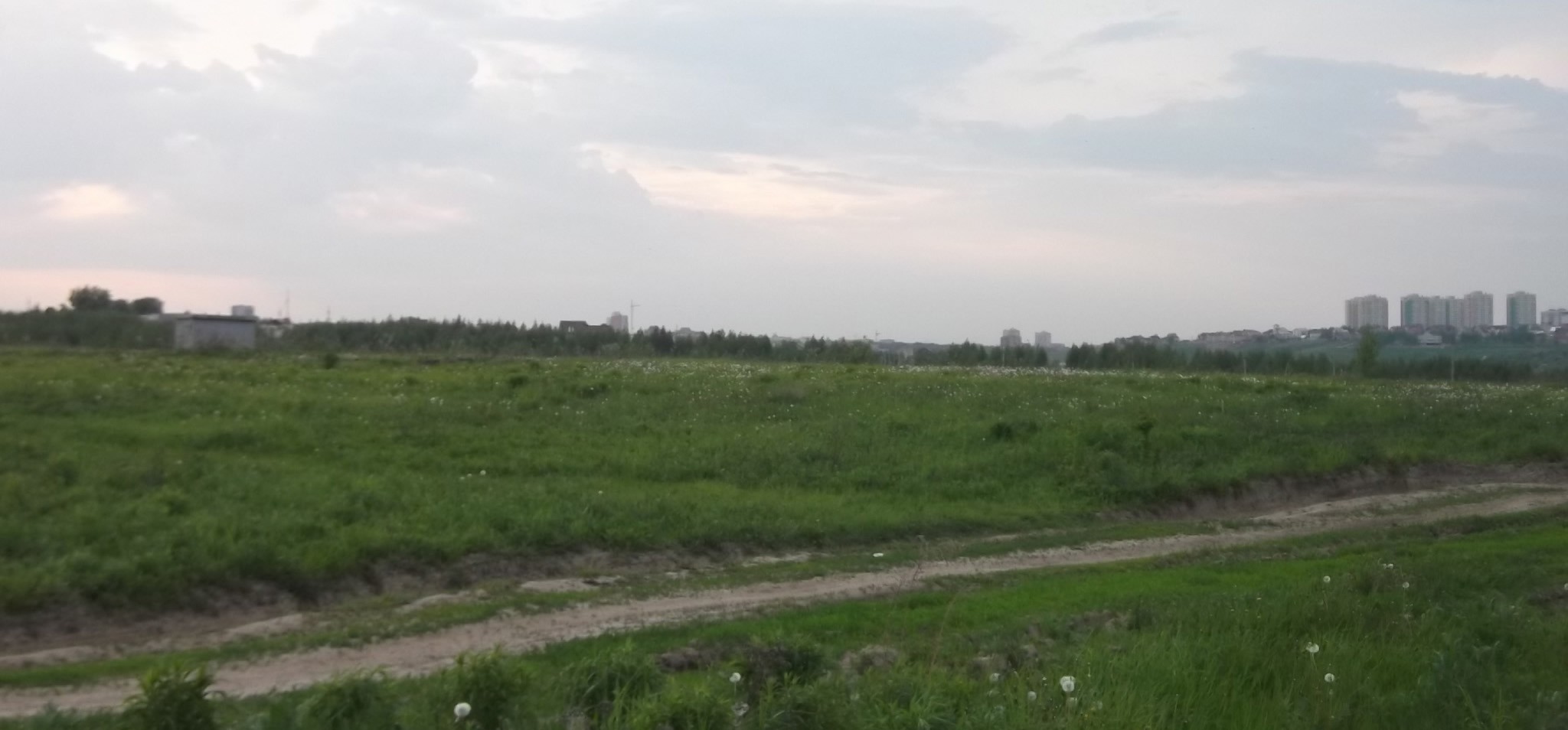 DSCF1255.JPG
