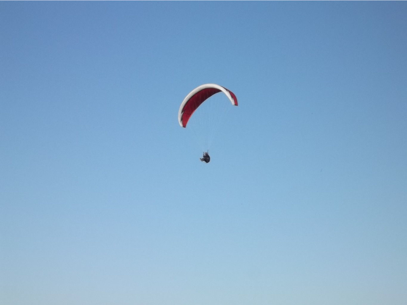 DSCF1308.JPG