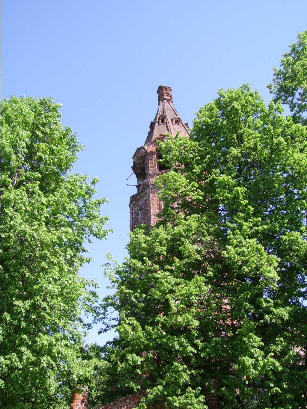 SSA43457.JPG