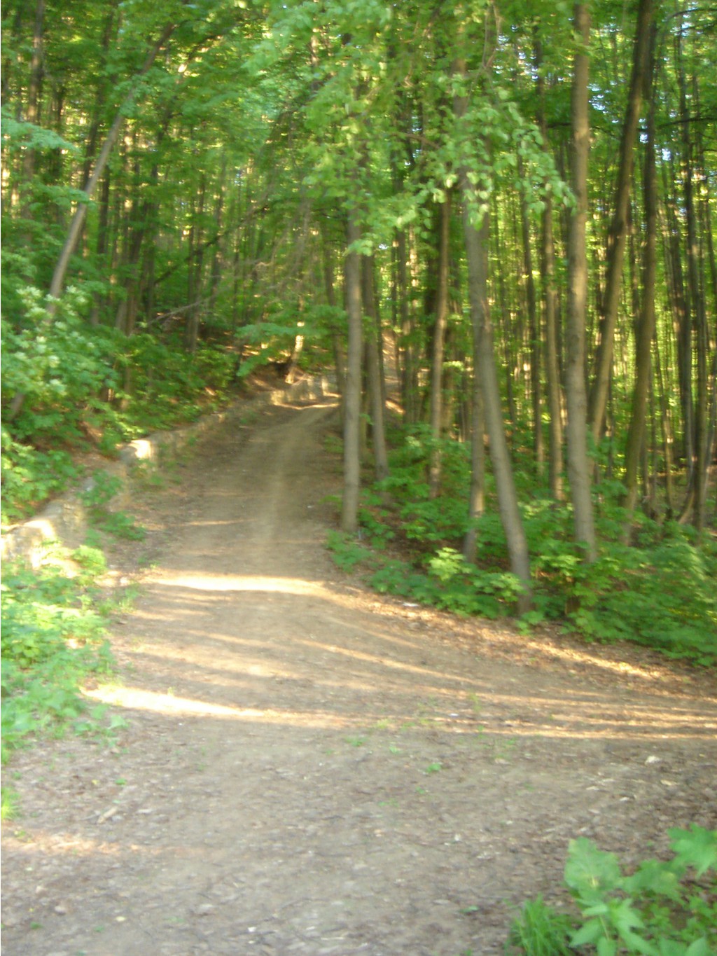 DSC01441.JPG