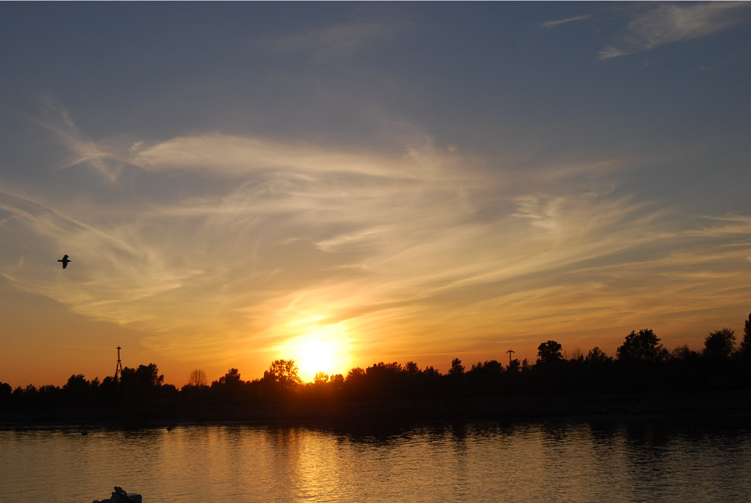 DSC_1569.JPG