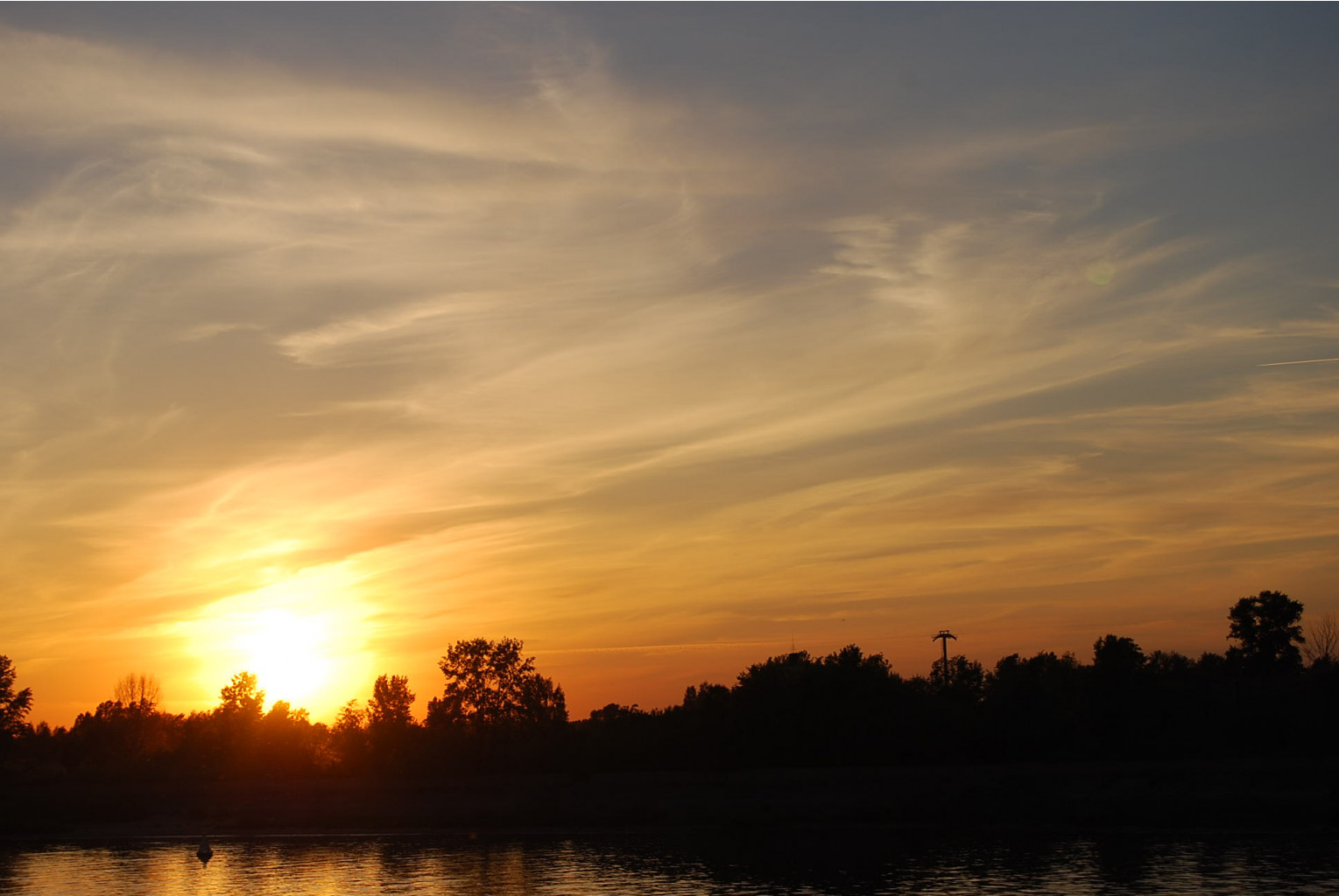 DSC_1571.JPG