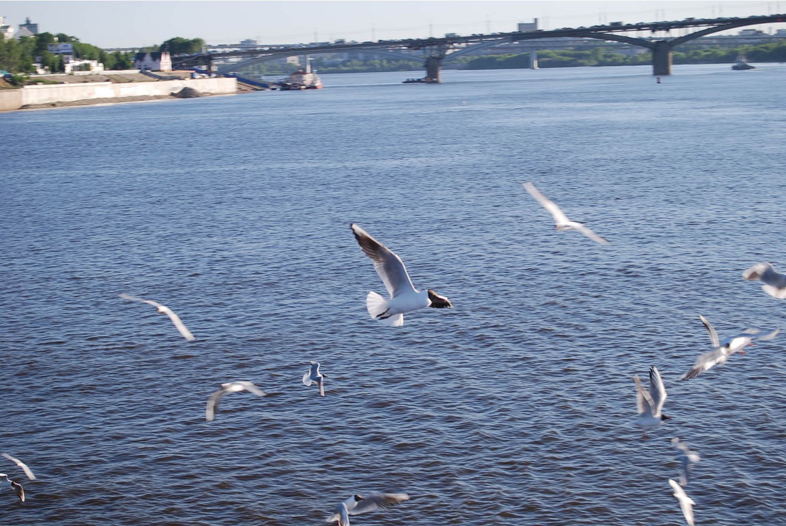 DSC_1522.JPG
