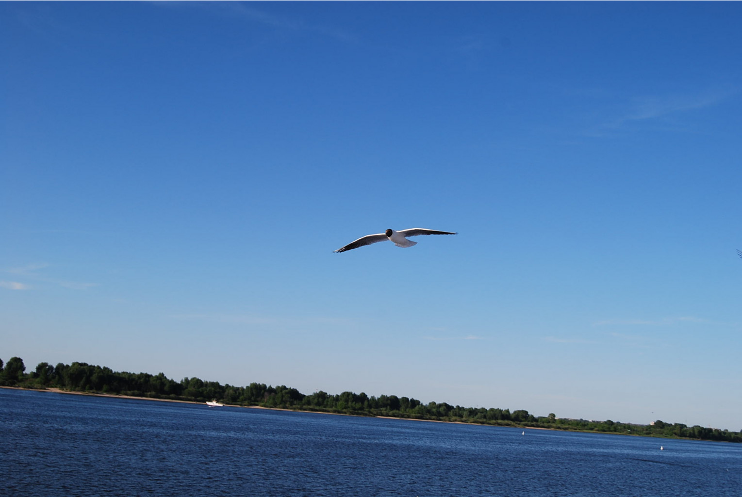 DSC_1527.JPG