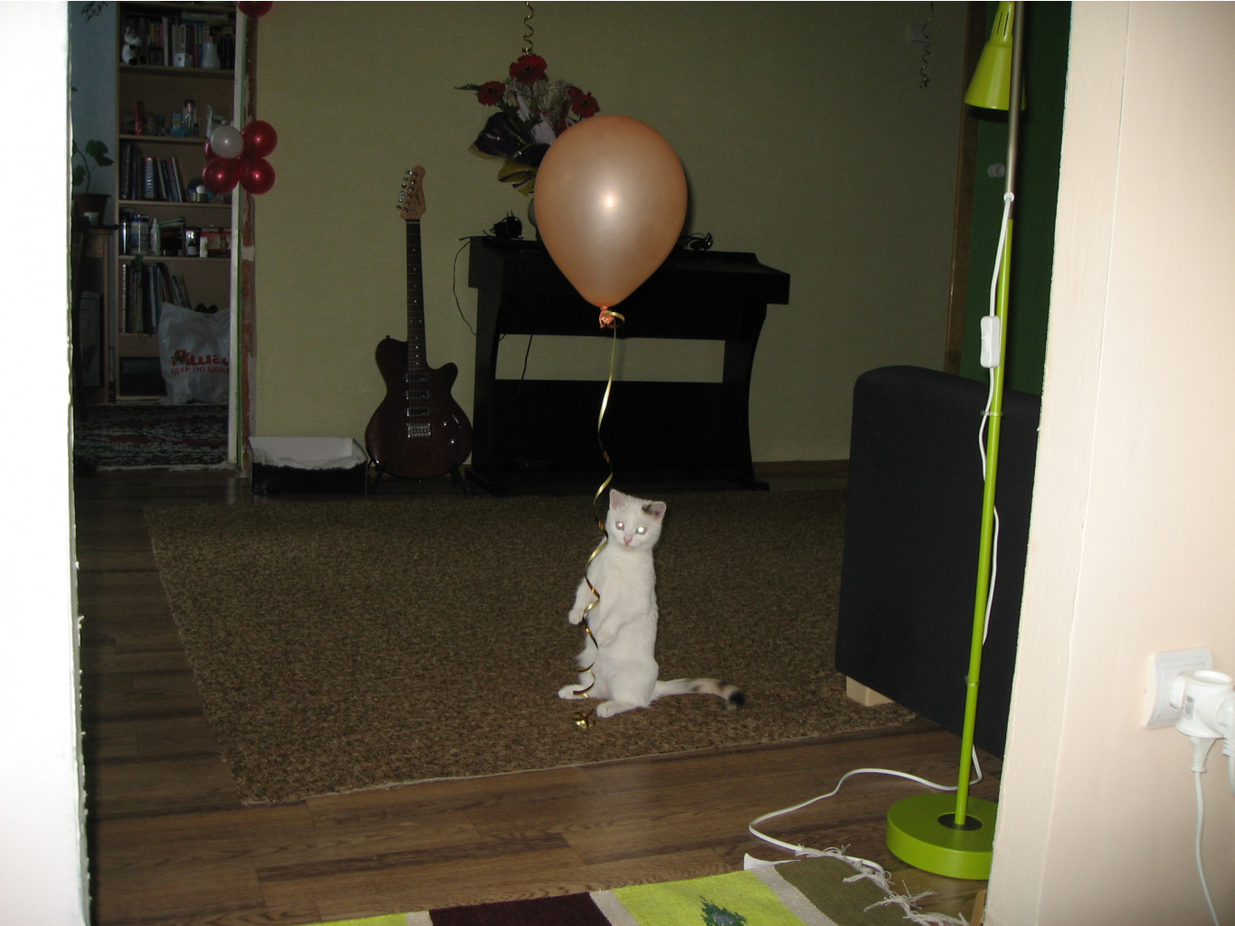 IMG_4400.jpg