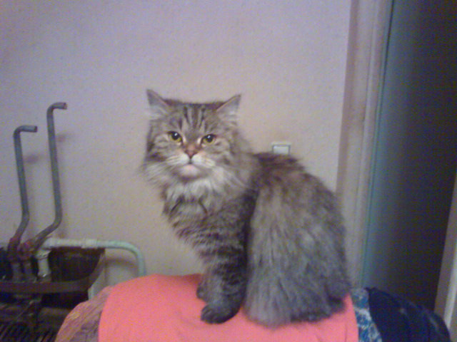 DSC00110.JPG