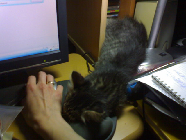  (1) DSC00131.JPG