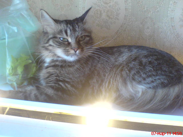 DSC00372.JPG